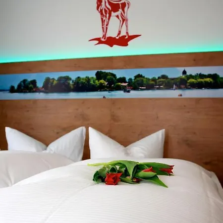 Penzion Gasthof-hotel Hoehensteiger 3*