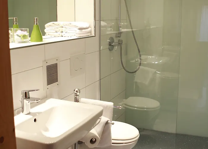 Gasthof-hotel Hoehensteiger 3* רוזנהיים